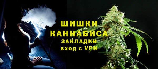 прущие грибы Бугульма