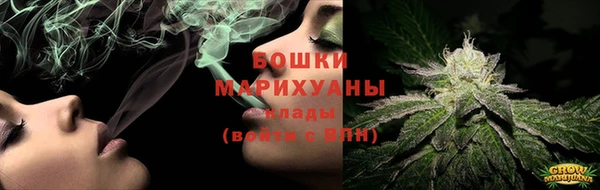 гашиш Богданович
