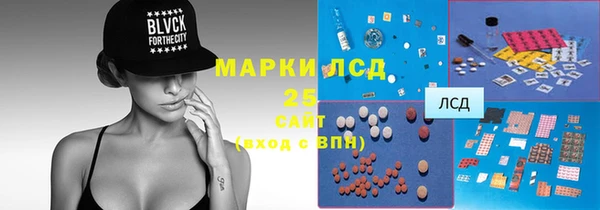 экстази Бородино