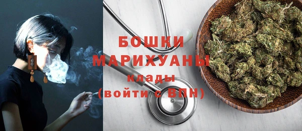Альфа ПВП Богородск