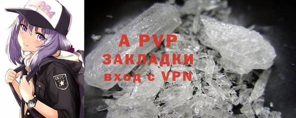 гашиш Богданович