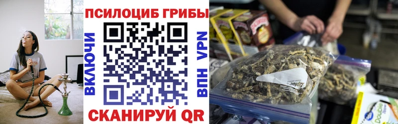 купить   Будённовск  Псилоцибиновые грибы Cubensis 
